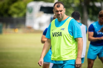 Michael Cheika, una mirada autorizada en el planeta rugby