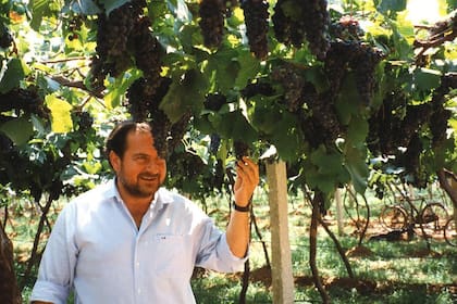 Michel Rolland, en una de sus visitas al Valle de Uco
