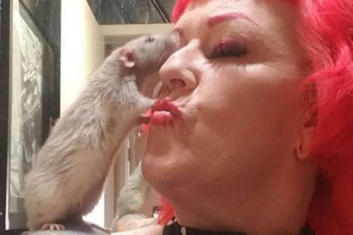 Michelle Raybon cría 50 ratas en su casa de California y lo muestra en sus redes sociales