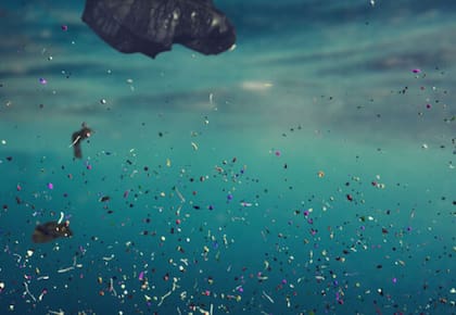 Microplásticos en el mar