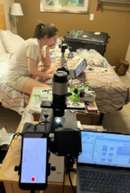 Microscopios, computadoras y muestras recolectadas en pantanos convivieron durante varios días en el motel convertido en centro de investigación