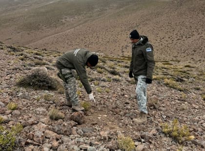 Miembros de Gendarmería se toparon con fragmentos de cerámica