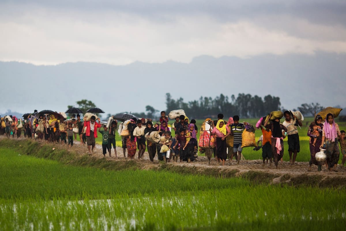 Miembros de la minoría étnica Rohingya de Myanmar caminan a través de campos de arroz después de cruzar la frontera en Bangladesh cerca del área de Teknaf del Bazar de Cox