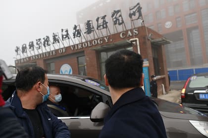Miembros de la OMS al ingresar al Instituto de virología de Wuhan, China.
