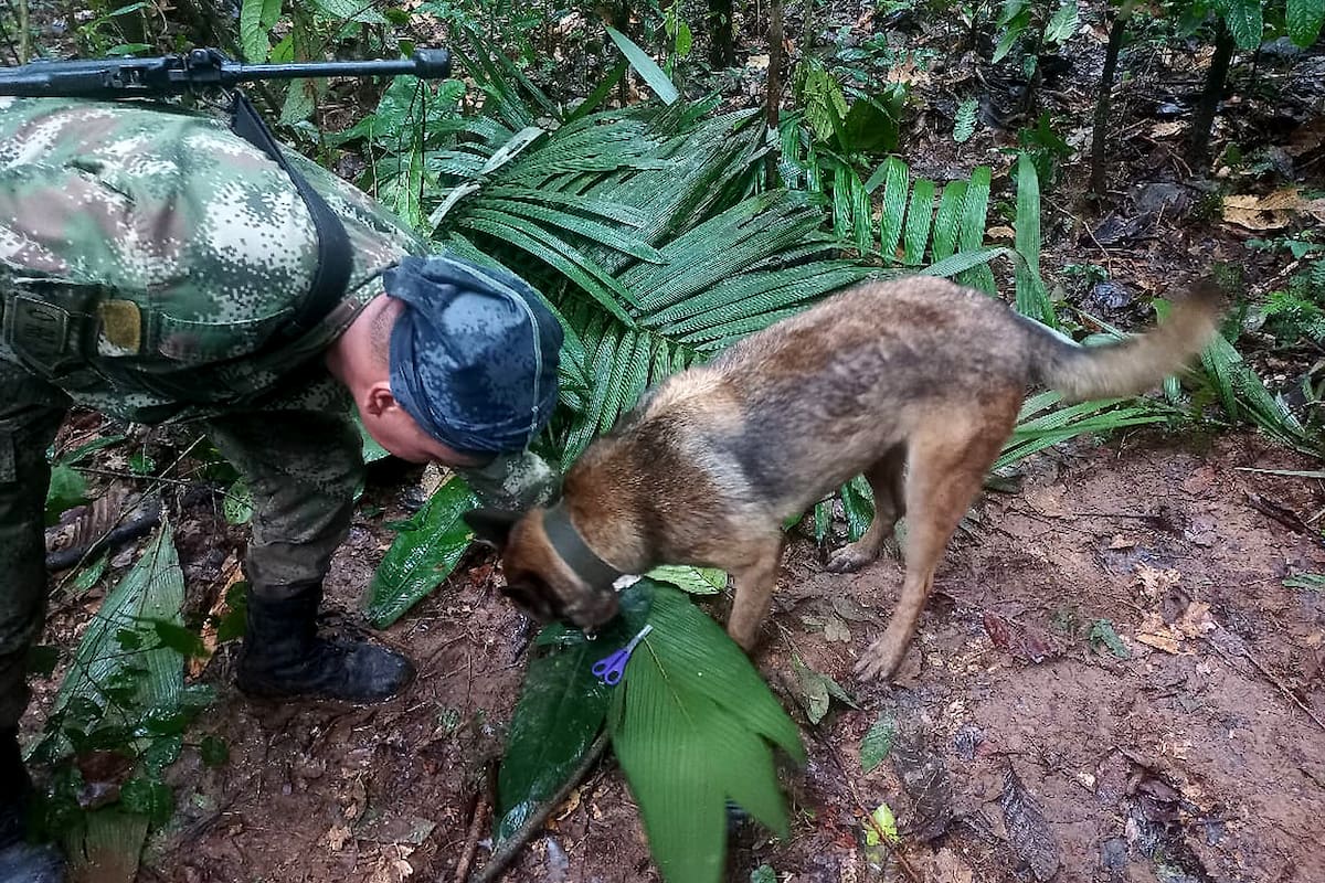 Miembros de las fuerzas militares encontraron un refugio que habría sido construido por los niños