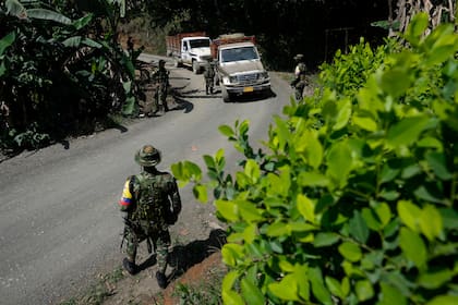 Miembros de una disidencia de las Fuerzas Revolucionarias Armadas de Colombia (FARC) hacen guardia en un punto de control en la región del Cañón del Micay, al suroeste de Colombia, el miércoles 14 de agosto de 2024. La facción de las exFARC, conocida por las siglas FARC-EMC, ha instalado controles de carreteras y custodia los cultivos de hoja de coca en las montañas. (AP Foto/Fernando Vergara)