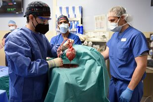 Miembros del equipo de cirugía muestran el corazón de cerdo que fue trasplantado al paciente David Bennett