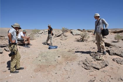 Miembros del equipo dirigido por la Universidad de Edimburgo en el desierto de Gobi en Mongolia
