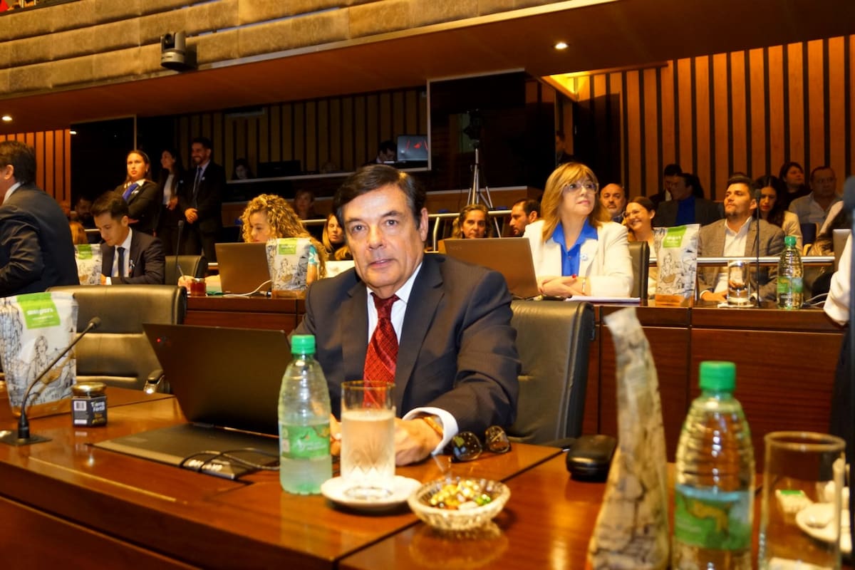 Mientras afuera la calle era un polvorín, Carlos Rovira participó de la sesión donde se repudió las protestas policiales y se propuso hacerles pagar los daños, que se estimaron en $10 millones por día.