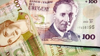 Mientras algunos sectores de producción en Uruguay se benefician de los precios internacionales, otros sienten el aumento de costos en dólares.