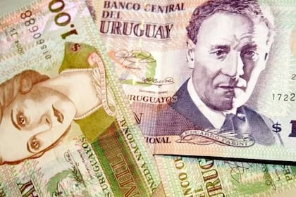 Mientras algunos sectores de producción en Uruguay se benefician de los precios internacionales, otros sienten el aumento de costos en dólares.