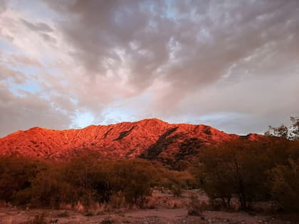 Mientras cae sobre el Oeste, el sol se proyecta sobre una de las colinas que lindan con el campo. "Es de ensueño", lo describe Zavala.