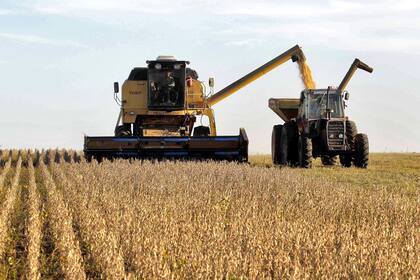 Mientras el USDA prevé 41 millones de toneladas, la Bolsa de Cereales de Buenos Aires estima la cosecha argentina de soja en 33,5 millones de toneladas