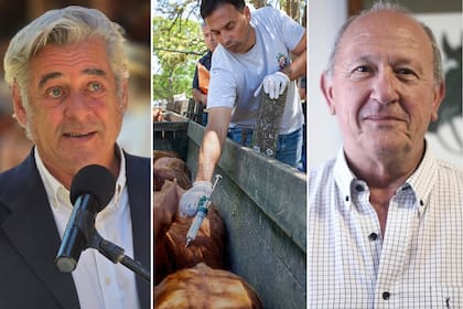 Mientras en la SRA valoraron positivamente la iniciativa y consideraron que puede contribuir a reducir costos, en CRA dijeron que el cambio resulta innecesario e inoportuno