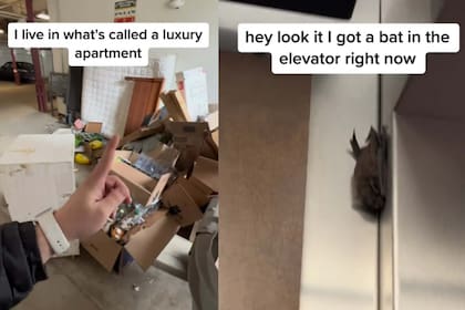 Mientras exhibía fallas en su edificio, un habitante de Nueva York se llevó una sorpresa al entrar en el ascensor