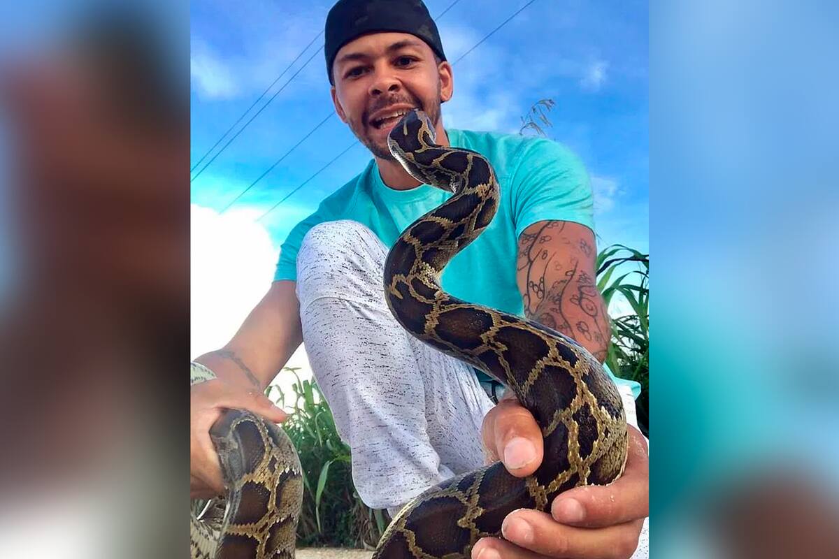 Mientras la maniobraba, la enorme serpiente lo atacó. Todo quedó grabado y fue compartido a través de las redes sociales.