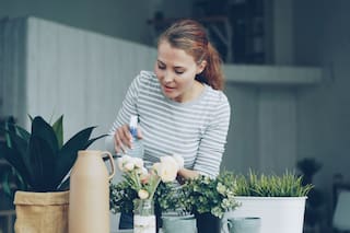 Qué significa que una persona tenga muchas plantas en su casa, según la psicología