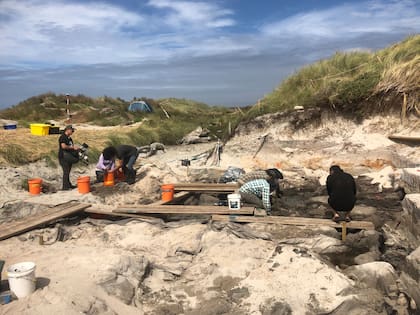 Mientras se analizan las piezas, una de las teorías principales es que pertenecían a los moriori, un pueblo nativo de las islas