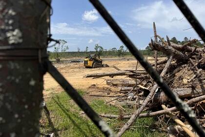 Mientras Trump reforma la FEMA, sobrevivientes de tornados en Mississippi esperan ayuda
