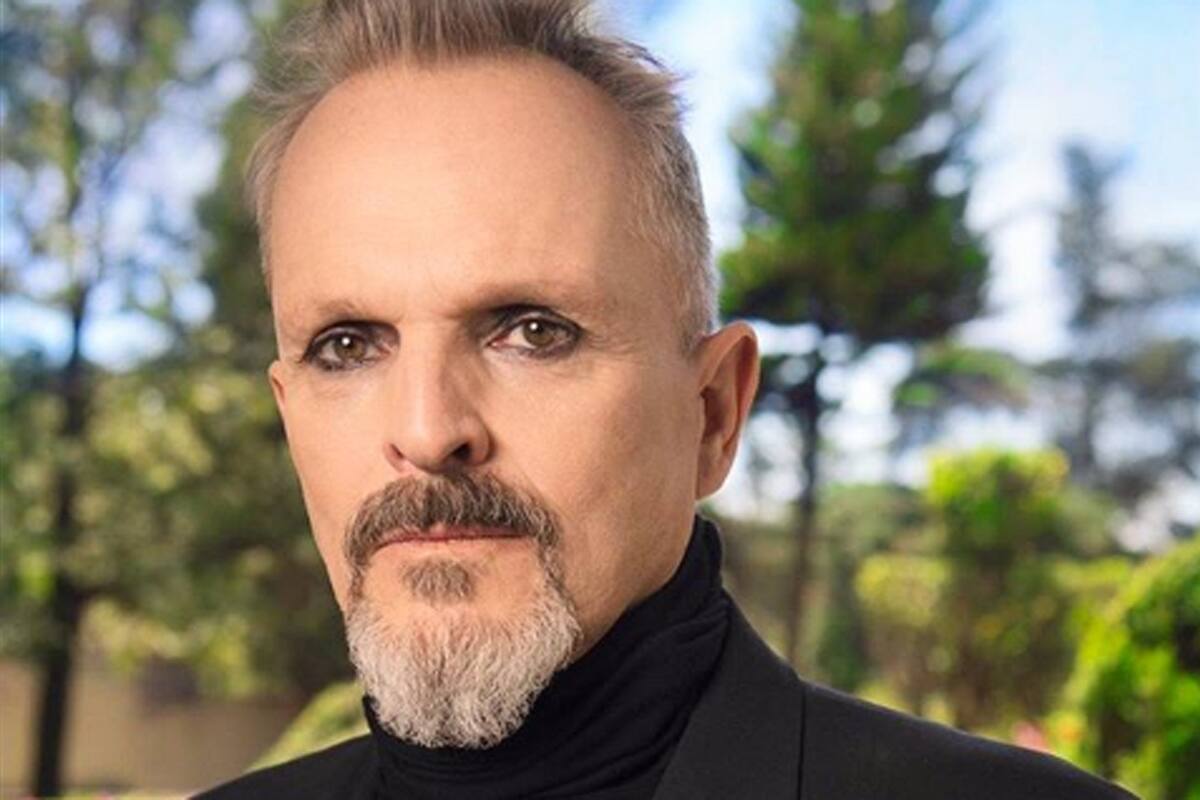 Migue Bosé y una batalla judicial con su expareja, Nacho Palau