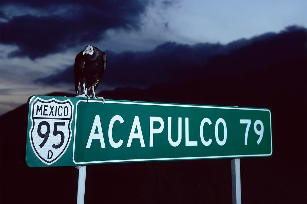 Miguel Calderón, Acapulco 79