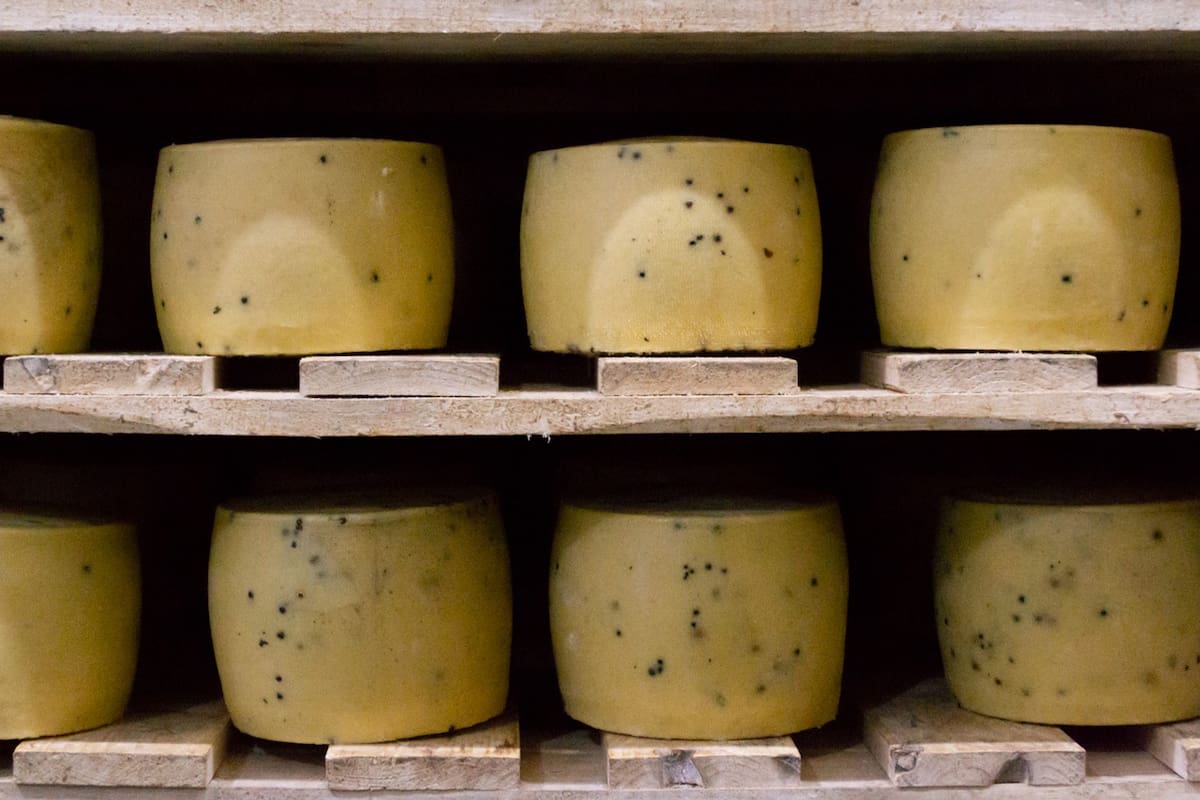 Miguel Nucete. Se abrio de la empresa familiar sin saber lo que iba a hacer
La pyme de quesos artesanales que fundo en 2001 Miguel Nucete comenzÛ exportando a Brasil y, en 2006, por las restricciones, se abocÛ al mercado interno; ahora busca volver a colocar sus productos en el exterior.
En Vedia, un punto de la provincia de Buenos Aires reconocido por el nivel de sus pasturas, con tambos propios y una leche de categorÌa superior, Miguel Nucete, heredero de un apellido que representa calidad en alimentos desde 1947, montÛ un negocio de quesos con impronta artesanal, que han recibido los maximos premios nacionales e internacionales.