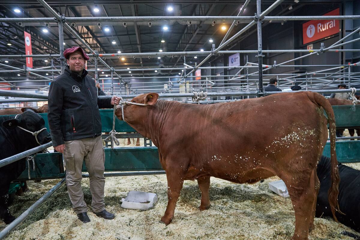 Miguel Pibernus, de El Mirador: “Estamos felices de haber podido atravesar todo el desafío de llegar a esta exposición"