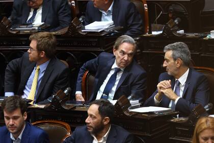 Miguel Pichetto durante el tratamiento en particular de la ley ómnibus