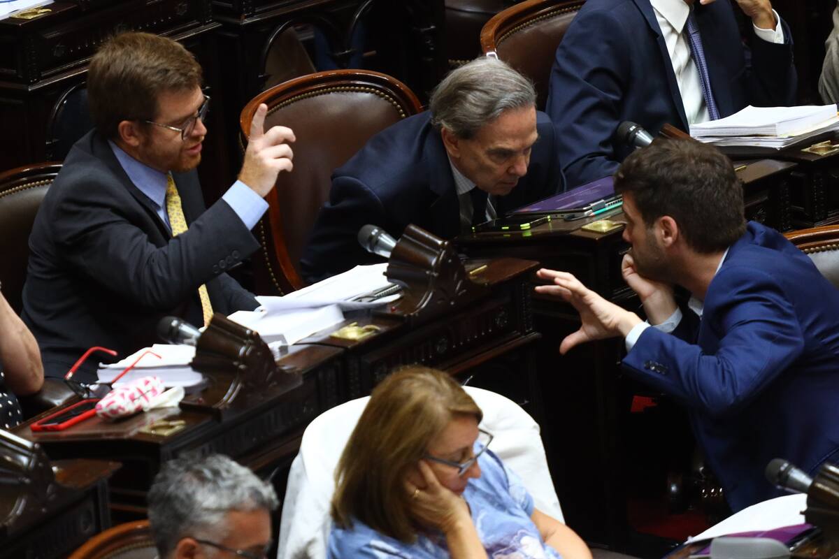 Miguel Pichetto durante el tratamiento en particular de la ley ómnibus; ahora, su bloque impulsa un proyecto para equiparar salarios en los poderes del Estado