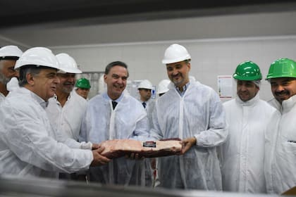Miguel Pichetto estuvo en el frigorífico que venderá carne con hueso a China