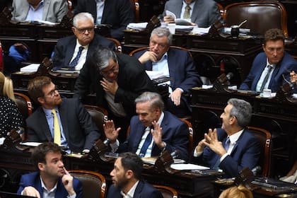 Miguel Pichetto junto a parte de su bloque
