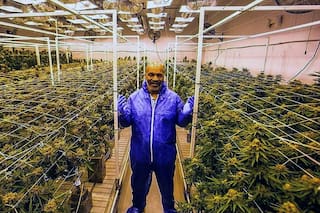 ¿Cannabis en el boxeo? La posición que adoptó la dirigencia y un mensaje desafiante