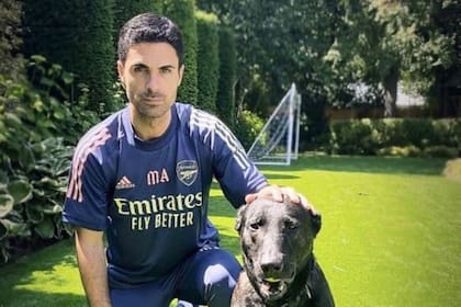 Mikel Ateta decidió proteger su vivienda y para ello compró un perro por 22.000 euros