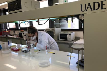 Varias universidades solo tendrán talleres y prácticas de laboratorio de manera presencial