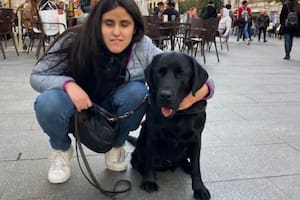 Milagros Costabel y su perro guía, Indio (Foto: Instagram / @mili.costabel)