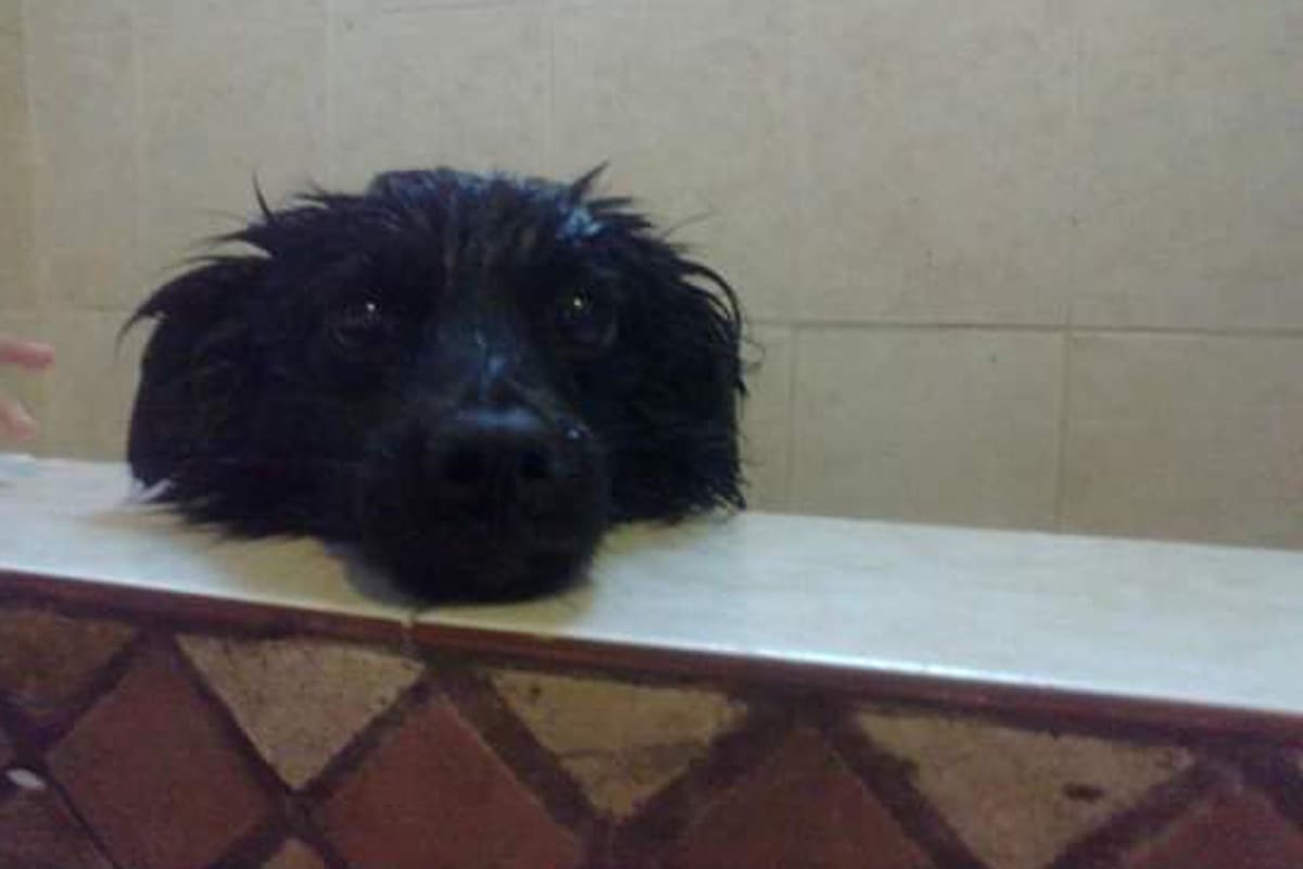 Milagros durante su baño