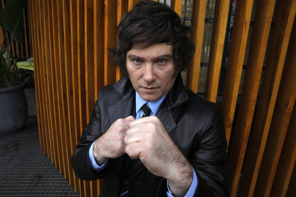 Mile, con la pose de un boxeador