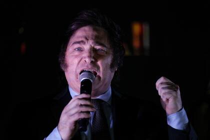 Milei considera que es importante tener a Estados Unidos como aliado (Archivo)