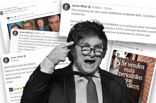 Milei, contra el periodismo: más de 300 mensajes con insultos, acusaciones sin pruebas y llamados al odio