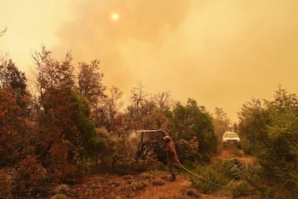 Milei declara zona de desastre y emergencia en la Patagonia por incendios forestales