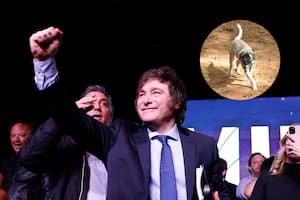Milei dedicó su triunfo a sus cinco perros