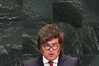 Milei, en la ONU