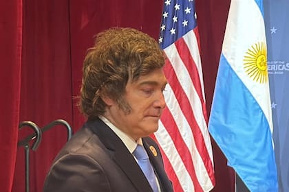 Milei, en la cumbre de Miami que compartió con Donald Trump