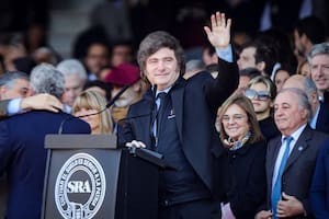 Milei: "El crecimiento del sector energético y minería financiará la quita de retenciones"