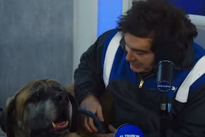 Milei llevó a Conan a un programa de streaming