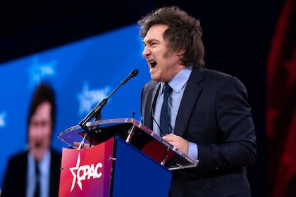 Milei suma acotados éxitos en comicios provinciales en año con más desafíos electorales