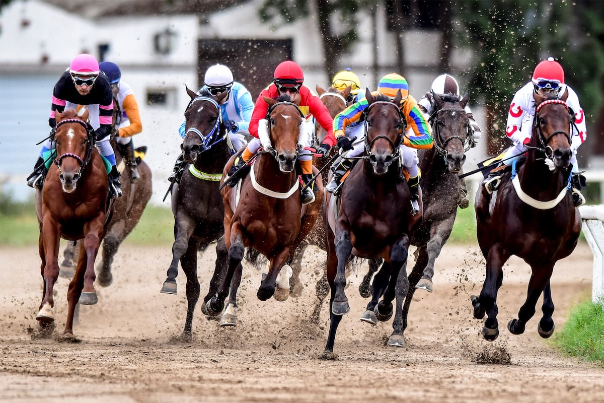 Miles de familias disfrutaron en Palermo del turf, el polo, el pato y otras actividades con los equinos como principales protagonistas