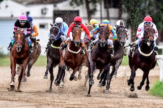 El caballo argentino tuvo su gran fiesta