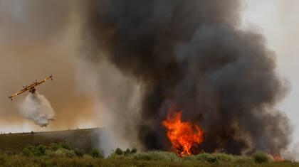 Miles de hectáreas arden en la UE por la ola de calor