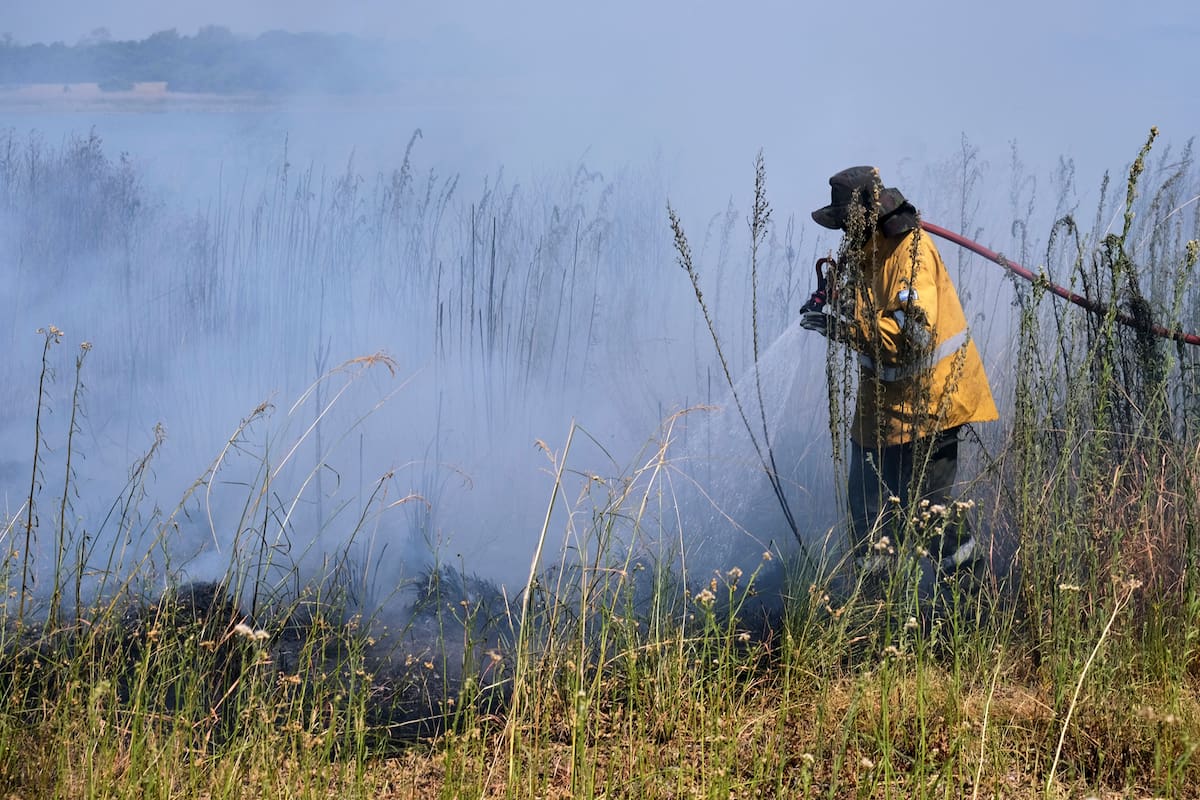 Miles de hectáreas fueron arrasadas por el fuego